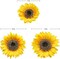 Large Sunflowers Artificial Flowers 9" Full Bloom Long Stem Artificial Sunflower 33" Tall Sun Flowers Giant Silk Sunflowers with Stem Fake Sunflower Floral Arrangement for Home Wedding Decoration